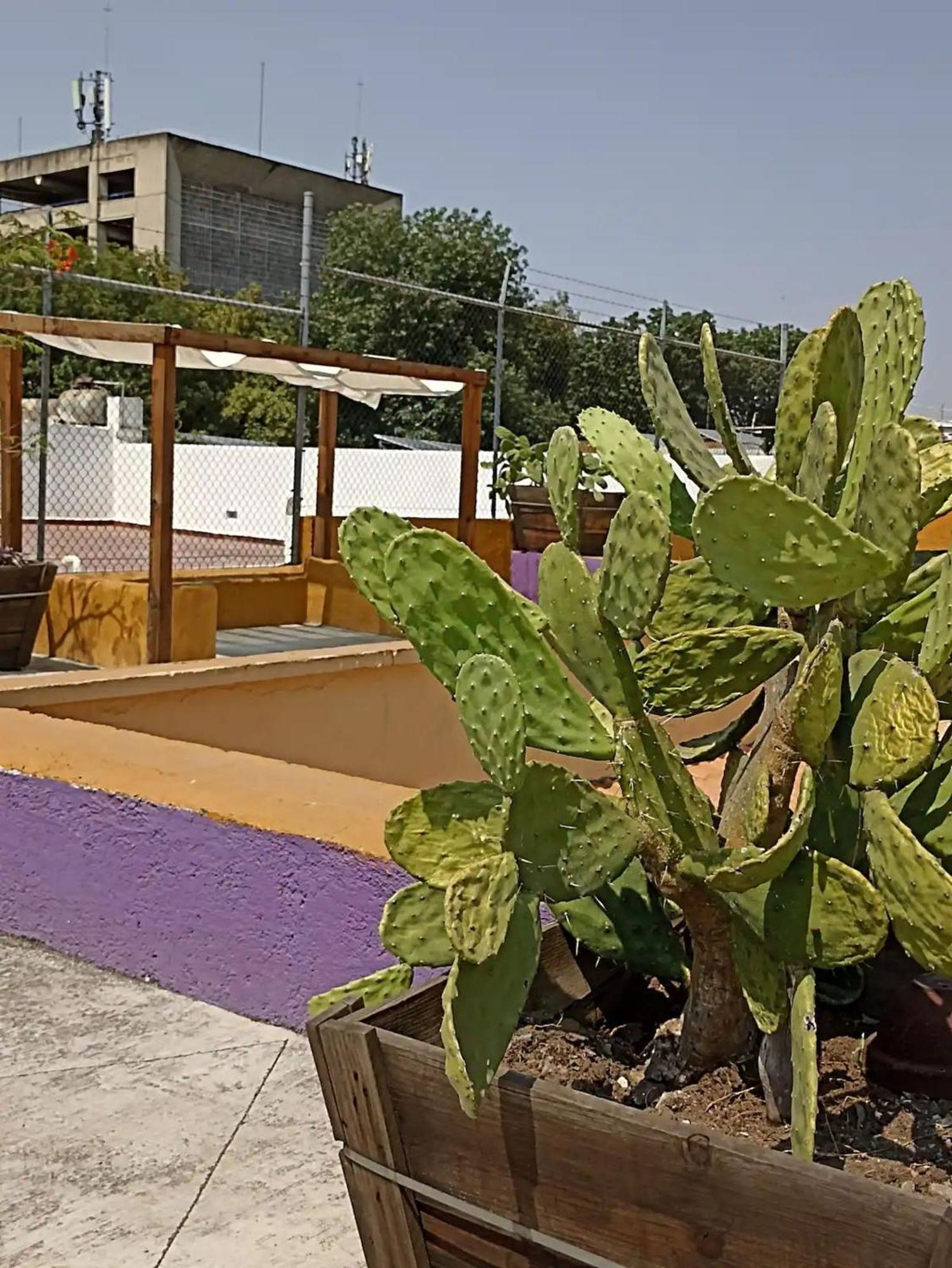 Guadalajara Corazón: Historic Center Guesthouse Exterior photo